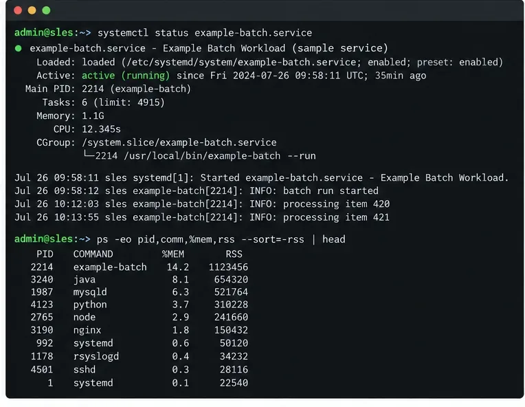 Trace SLES Upgrade Memory Errors Before Retrying